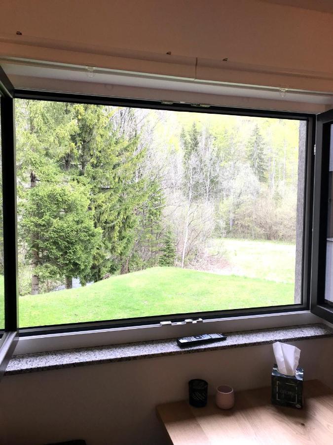 Apartment Loyd, Kranjska Gora - Studio المظهر الخارجي الصورة