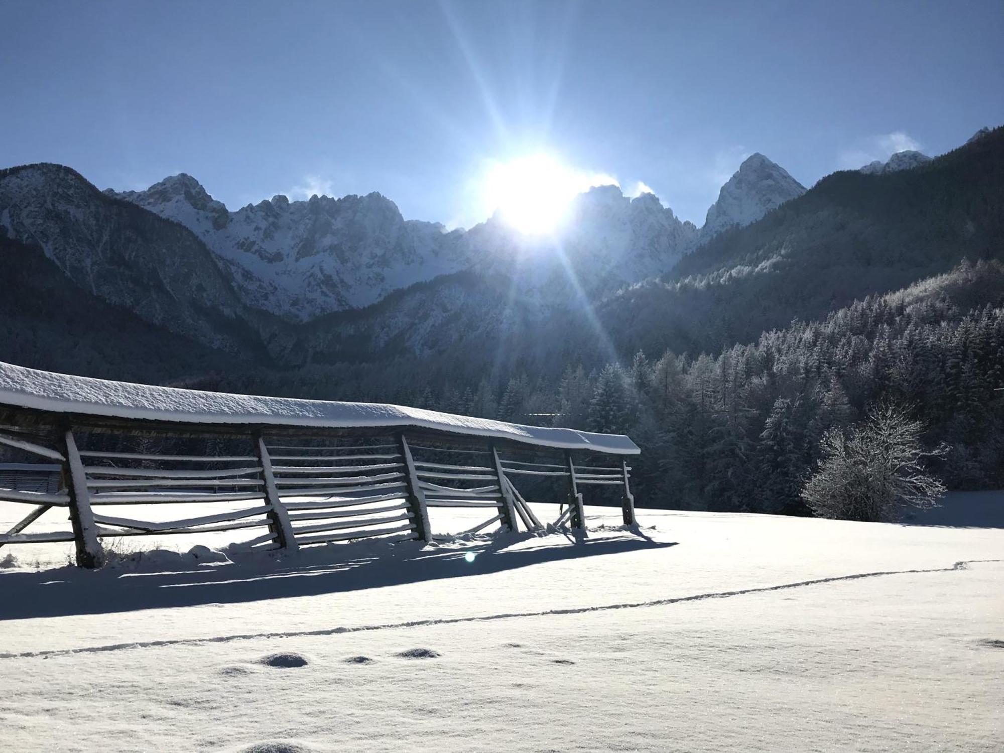 Apartment Loyd, Kranjska Gora - Studio المظهر الخارجي الصورة